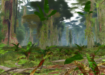 Detienen a “El Cabra”, presunto líder de un grupo criminal que opera en la Selva Lacandona