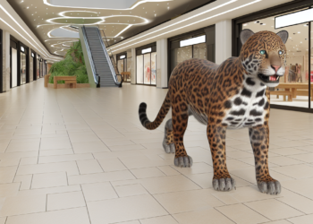 Aseguran cachorro de jaguar en plaza comercial de Oaxaca