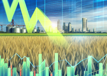 Futuros de cereales caen a mínimos de varios meses