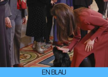 así maltrató a la mascota de Felipe