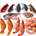Precios de la mojarra, salmón, camarones y otros mariscos