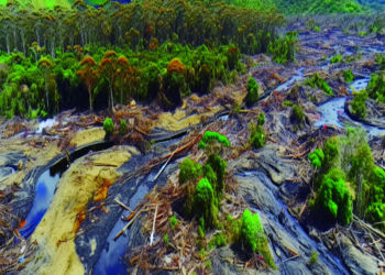 Ecuador mantendrá hasta por 60 días una declaratoria de emergencia por derrame de crudo en zona fronteriza con Colombia