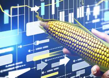 Futuros del maíz suben el viernes pero cierran con ligera caída