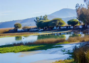 Gobierno de Michoacán retoma trabajos de conservación del lago de Pátzcuaro: Bedolla