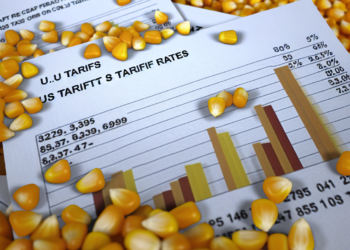 Golpe al maíz aranceles de EE.UU
