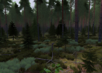 Mítikah: El cementerio de árboles