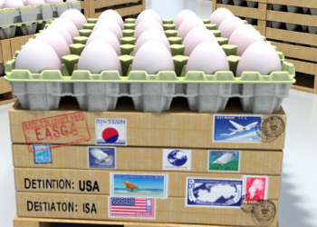 Estos paises enviarán huevos a Estados Unidos ante escasez - El Tiempo de México