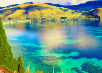 No se puede vivir así