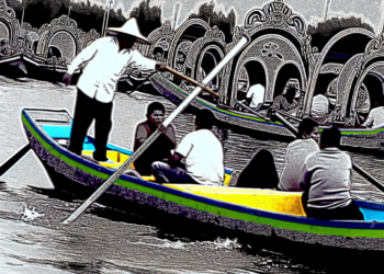 Remeros de Xochimilco golpean a turista (Video)