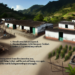 Algunas familias desplazadas por violencia del narcotráfico en Chiapas regresaron a sus hogares