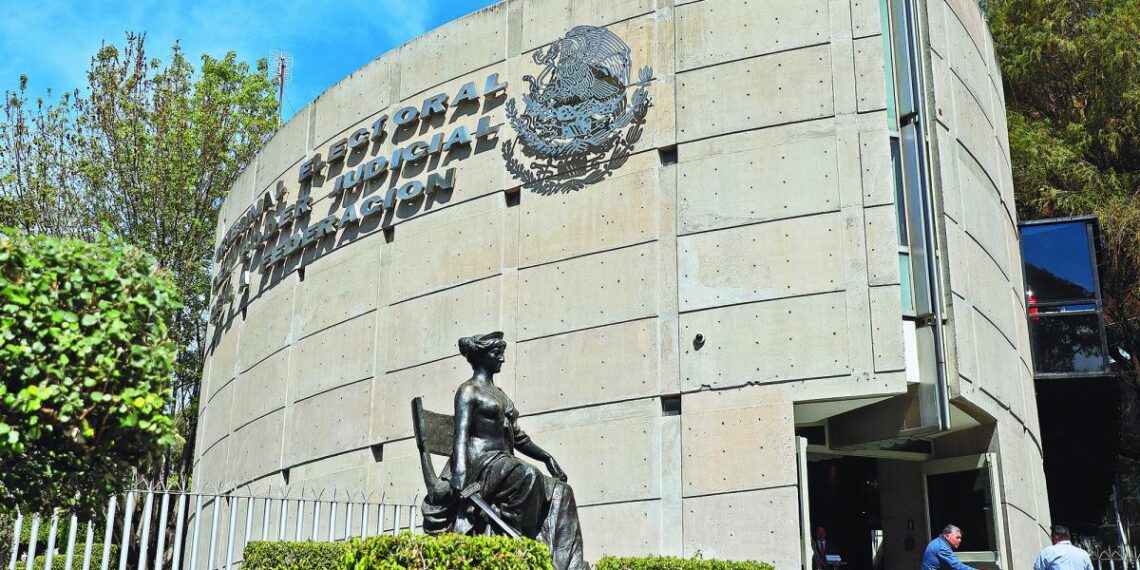 TEPJF confirma nombramiento de cercano a Guadalupe Taddei en Unidad de Transparencia del INE