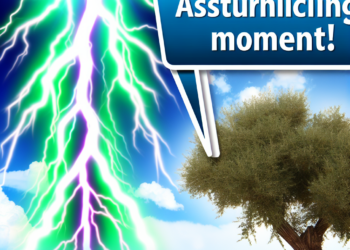 ¡Qué miedo! Vio cómo rayo impactó árbol junto a ella 🎦 - El Tiempo de México