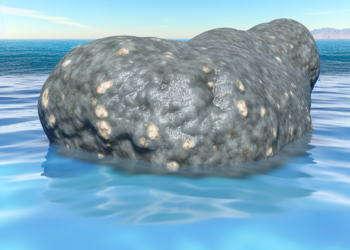 ¿Por qué el pis de ballena es tan útil para océano?