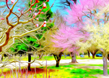 ¿Qué significa el equinoccio de primavera?