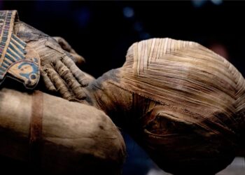 Diseño Sin Título 2025 04 10t091511.908