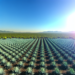 Con "Agave Responsable Ambiental" se han protegido más de 15,000 hectáreas de bosque
