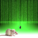 así se ve la red neuronal de un ratón viendo Matrix