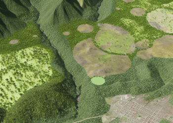 Ejidatarios de la Sierra Gorda adoptan la regeneración forestal como modelo de desarrollo económico