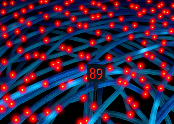 gran red de pedófilos desmantelada, con 79 arrestos – DW – 02/04/2025