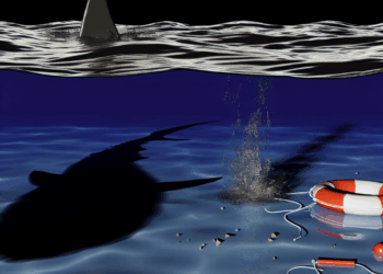 Hombre muere tras brutal ataque de tiburón en playa de Israel