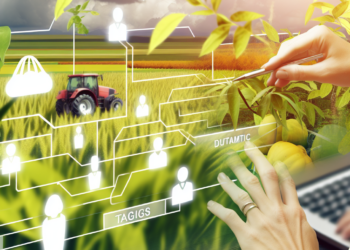 El papel clave de las empresas de servicios agrícolas en la producción