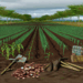 Abusos laborales persisten en agroexportaciones de Chiapas