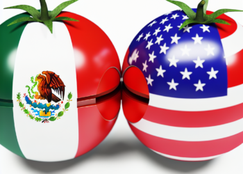 México confía en lograr nuevo acuerdo tomatero con EU