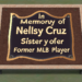 La gobernadora Nelsy Cruz, hermana de un exastro de la MLB, murió tras colapso del techo de la discoteca Jet Set en República Dominicana