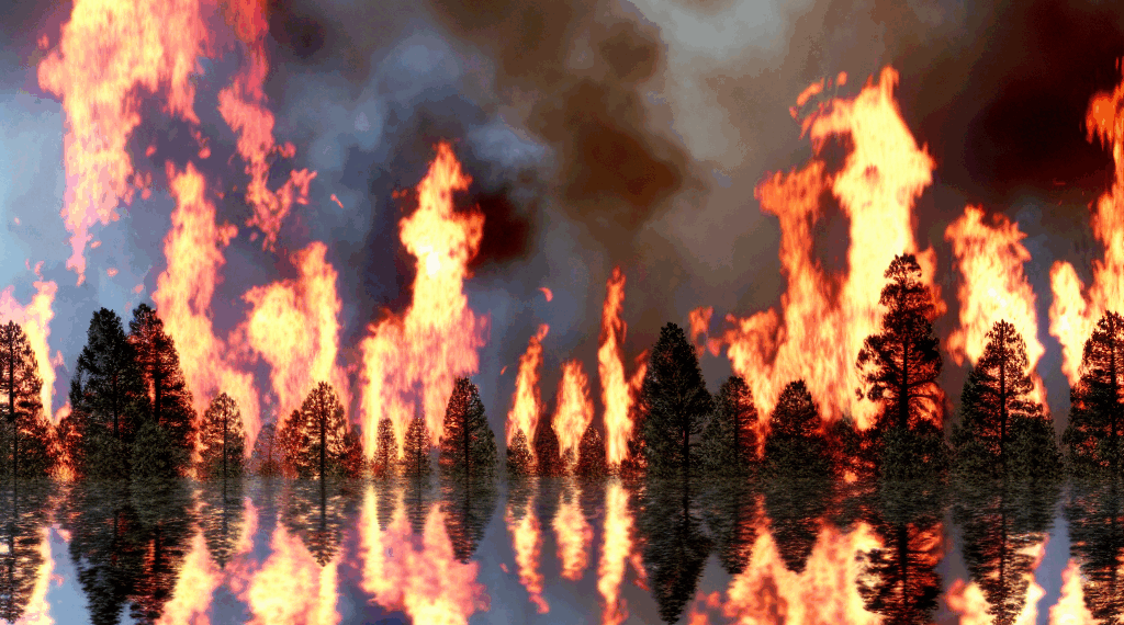 Netanyahu alerta que incendios forestales se extienden y pueden alcanzar Jerusalén