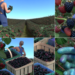 Ofrecen trabajo de cultivo de moras por más de 3 mil pesos al día