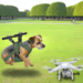 Perrito amarrado y elevado con dron genera indignación