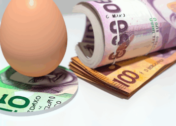 ¿Cuál será el precio del huevo en CDMX, Edomex y más para la tercera semana de abril?