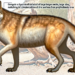 Reviven al lobo huargo, conocido por "Game of Thrones" y extinto hace 13 mil años