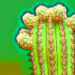 Si tienes este cactus mexicano, podrías pagar una multa superior a los 5 millones de pesos