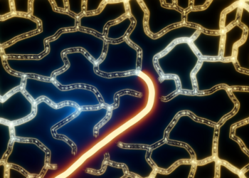 Trazan mapa al futuro con 200 mil neuronas de ratón- Grupo Milenio