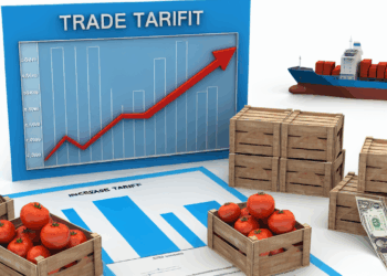 Trump pone el ojo en el jitomate mexicano: ¿por qué sube el arancel al 21%?