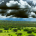¿Cuándo comienza la temporada de lluvias 2025 en México?