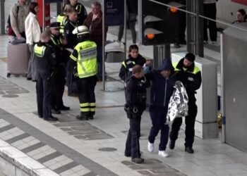 17 heridos en un ataque con cuchillo en estación de trenes de Hamburgo