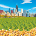 La soya y el maíz suben en el mercado de granos de Chicago