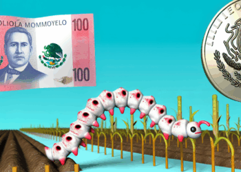 Economía mexicana se contraería en el segundo trimestre por efecto gusano barrenador