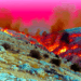 Varios incendios en las montañas de Jerusalén elevan la alerta al máximo y dejan 12 personas heridas