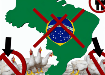 Freno de exportaciones por gripe aviar podría bajar la inflación de los alimentos en Brasil