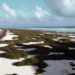 Anticipan recales masivos de sargazo en costas de Quintana Roo