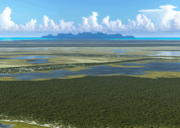 Quintana Roo el estado con la mayor conservación ambiental en el país: ANAAE