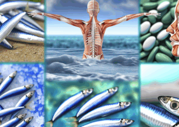 Las sardinas son pequeñas, pero tienen GRANDES beneficios para la piel y los huesos