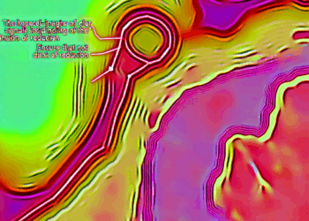 A nivel doméstico tenemos señales claras que nos permiten seguir reduciendo la tasa: Subgobernador Mejía Castelazo