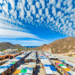 Tianguis Turístico en Baja California concluye con récord mundial de visitantes