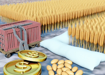 Con la soya en riesgo, el trigo promete más divisas a Argentina