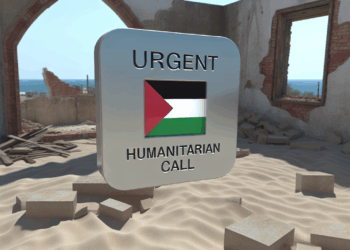 Vídeo. VÍDEO: El Papa pide acción humanitaria en Gaza en su primera audiencia