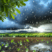 ¿Cuándo inicia la temporada de lluvias en México este 2025?